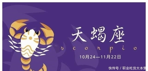 11月17什么星座