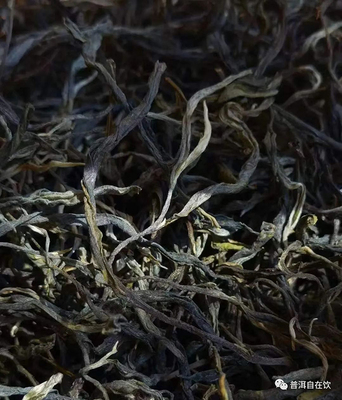 薄荷塘普洱是哪个茶山的