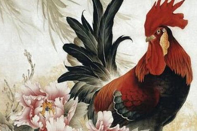 鸡属相年份