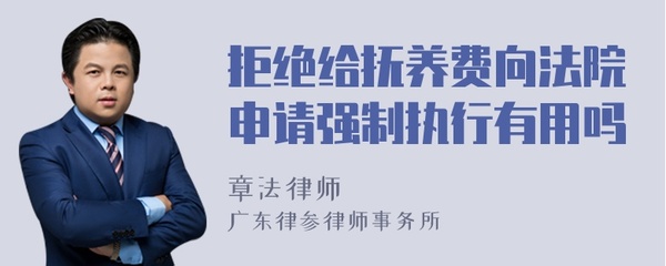 抚养费强制执行有用吗