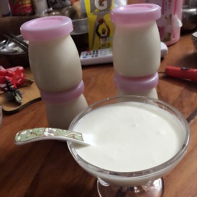 各种酸奶的区别和制作方法