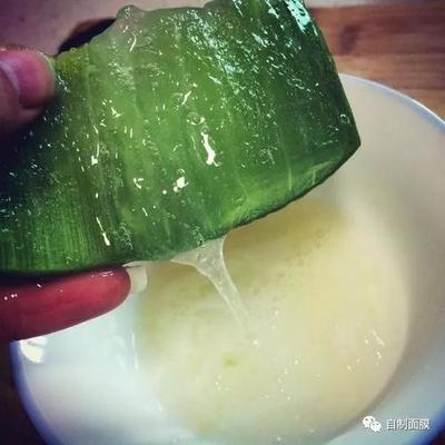 自做芦荟面膜