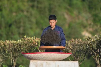 天博体育网页版登录链接在哪背面接口与散热设计