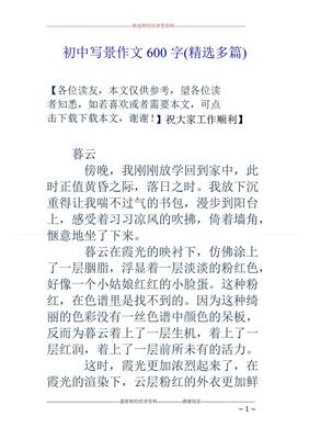 奋斗作文600字初中