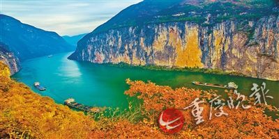 纬来体育在线平台应用场景图