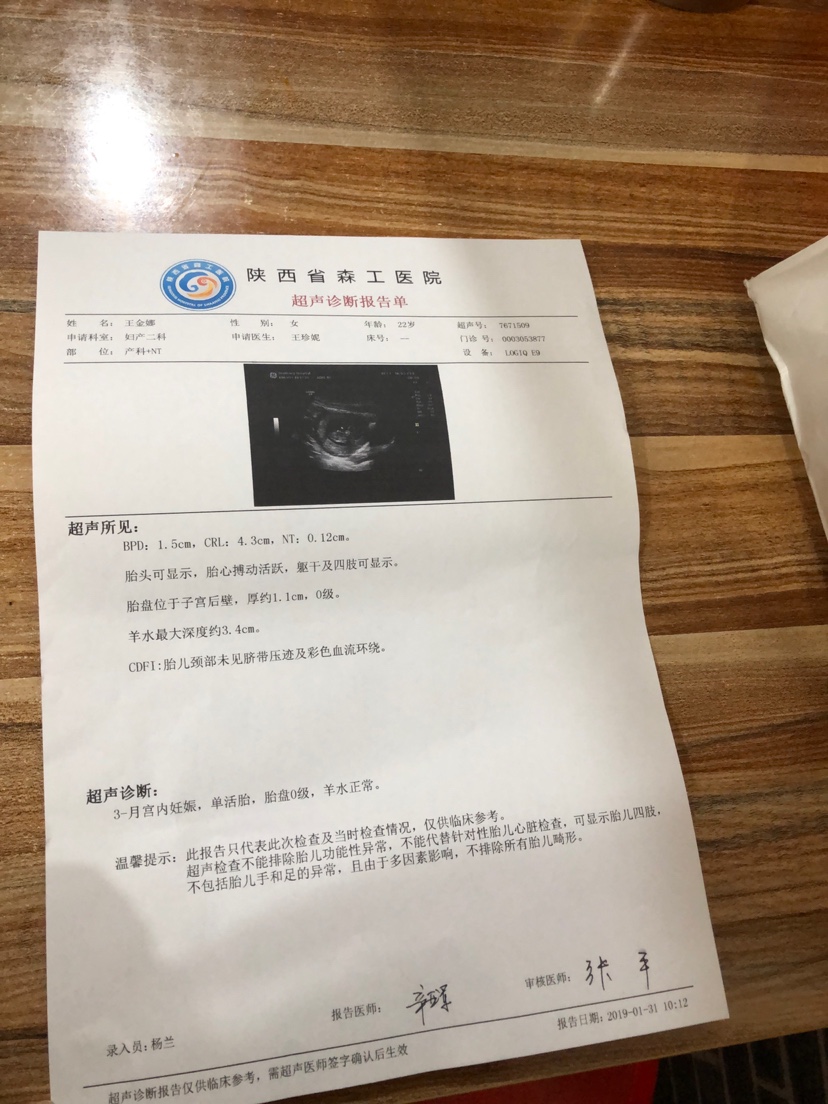 孕四个月出血