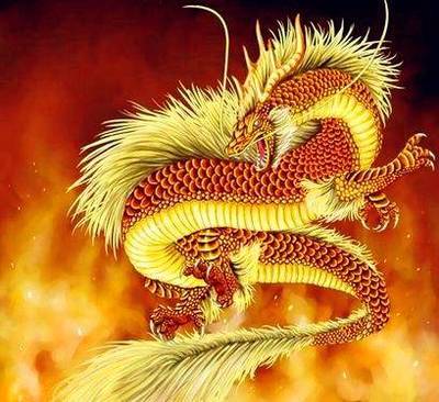 男属龙的和什么属相最配