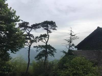 上海到莫干山多少公里