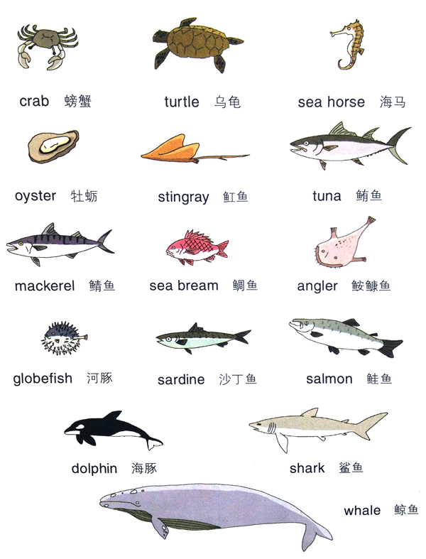 globefish音标