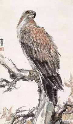 看到鹰有什么寓意