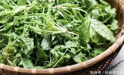 孕妇可不可以吃荠菜