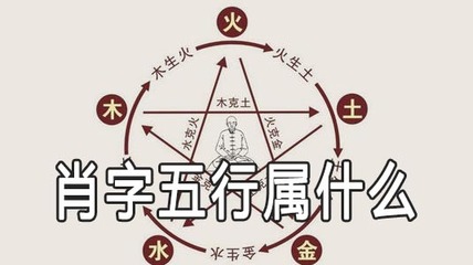 字五行属什么的