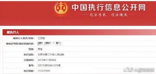 被失信执行人查询