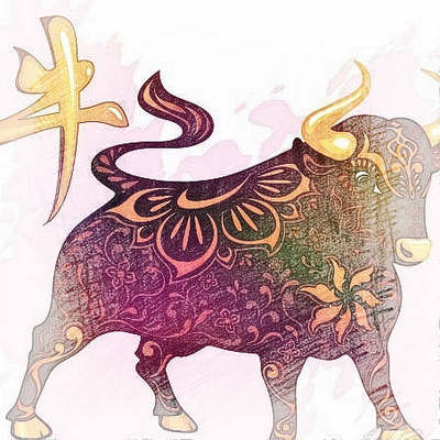 属牛的女人今年运势