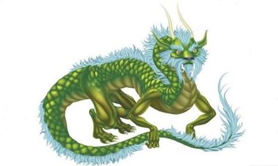 属龙星座