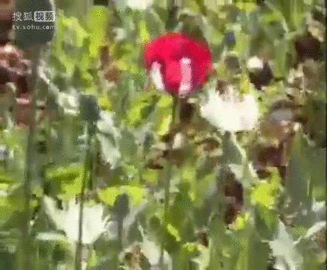 资讯配图