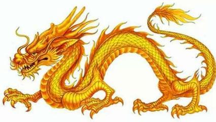 妈妈属龙宝宝属龙好吗