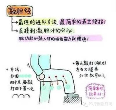 敲胆经可以瘦腿吗