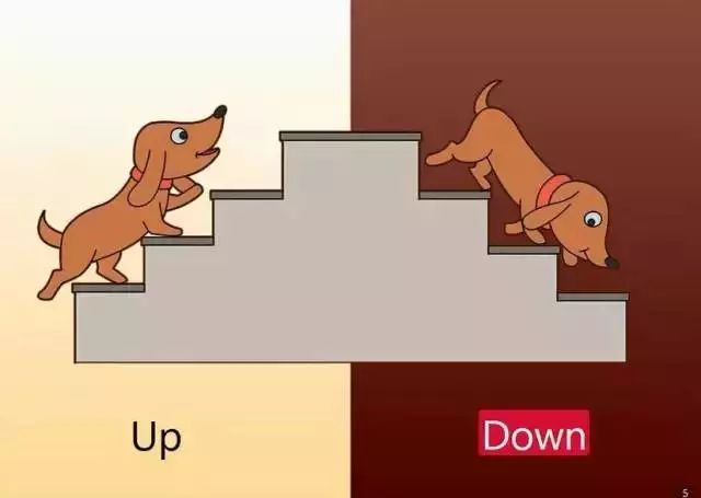 爬上去英语怎么说