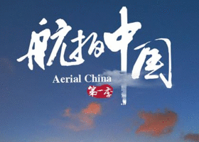 迪莉娅的证词