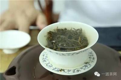 生普洱茶的泡法
