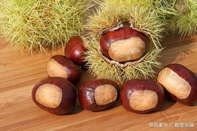 咳嗽可以吃板栗吗
