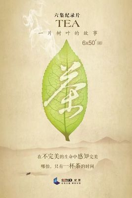 关于茶叶的故事