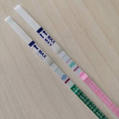 怀孕多长时间早孕试纸能测出来
