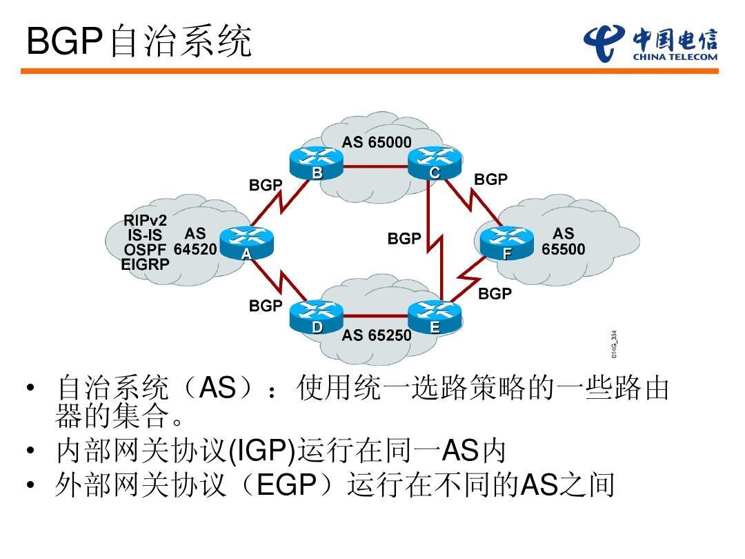 bgp网络