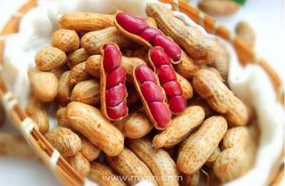 做梦吃花生