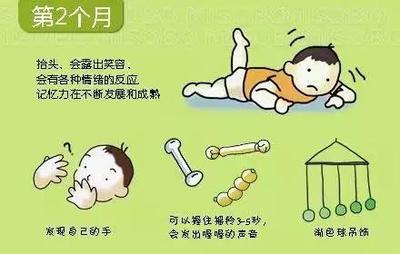 宝宝几个月可以扶坐