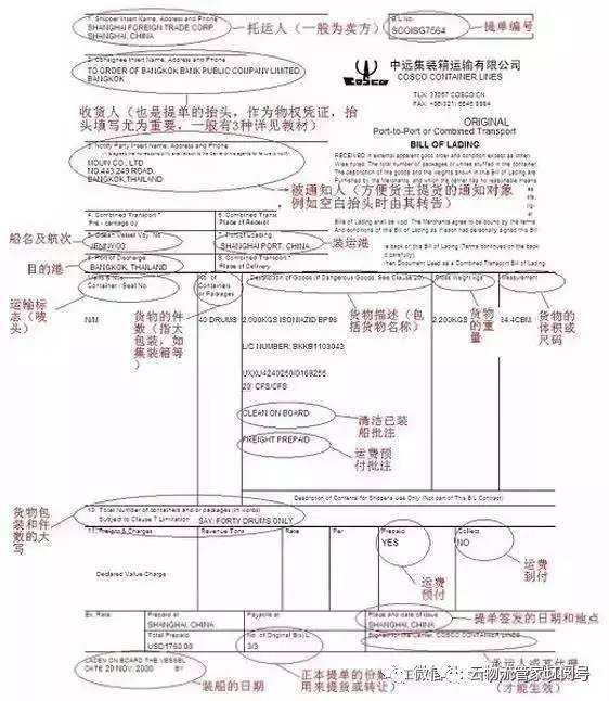 船舶公司 中文版