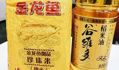 高背金龍魚（高背金龍魚和過背金龍魚的區(qū)別）