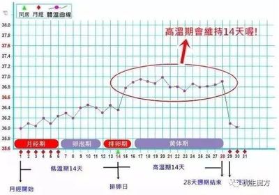 月经期排卵期体温是多少正常