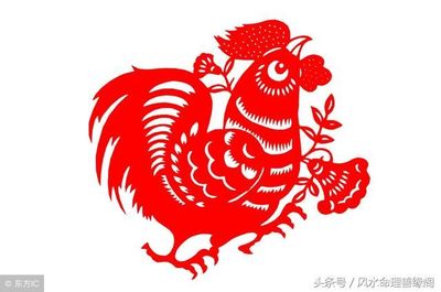 属羊和属牛的合财吗