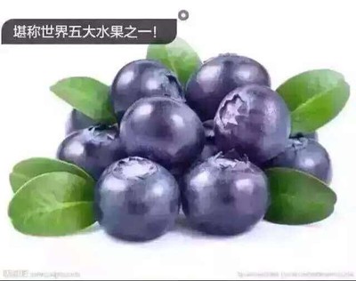 月子里可以吃果冻吗