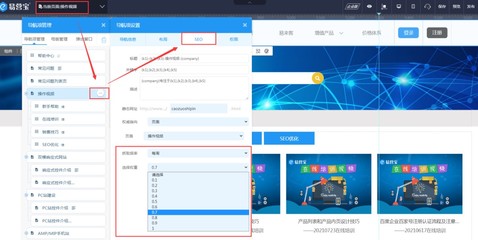网站SEO设置的17个要点。
