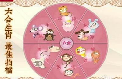 三月的生肖