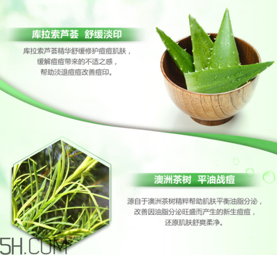 芦荟面膜的功效与作用