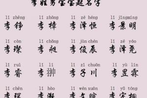 子字男孩名字