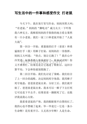 关于老鼠一件事的作文怎么写
