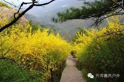 光明森林公园