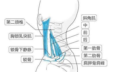 后肋骨疼是怎么回事