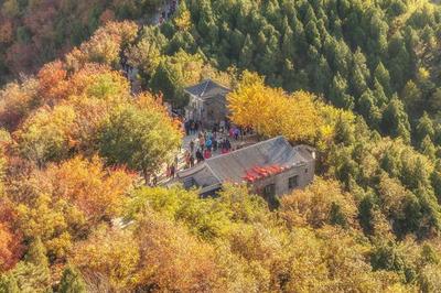 百望山自助游攻略