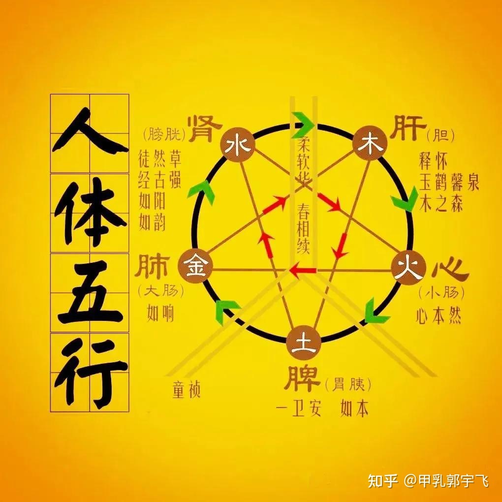 润 五行