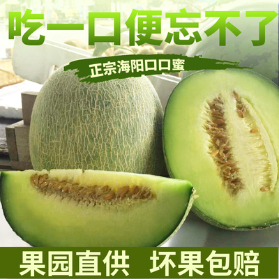 网纹瓜孕妇能吃吗