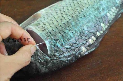 鱼线制作方法