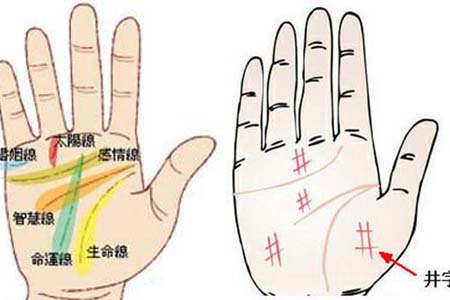 如何看手相婚姻线