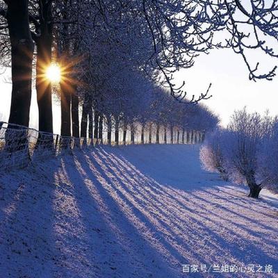 梦见大雪纷飞周公解梦