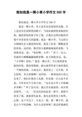 假如我是一棵小草作文